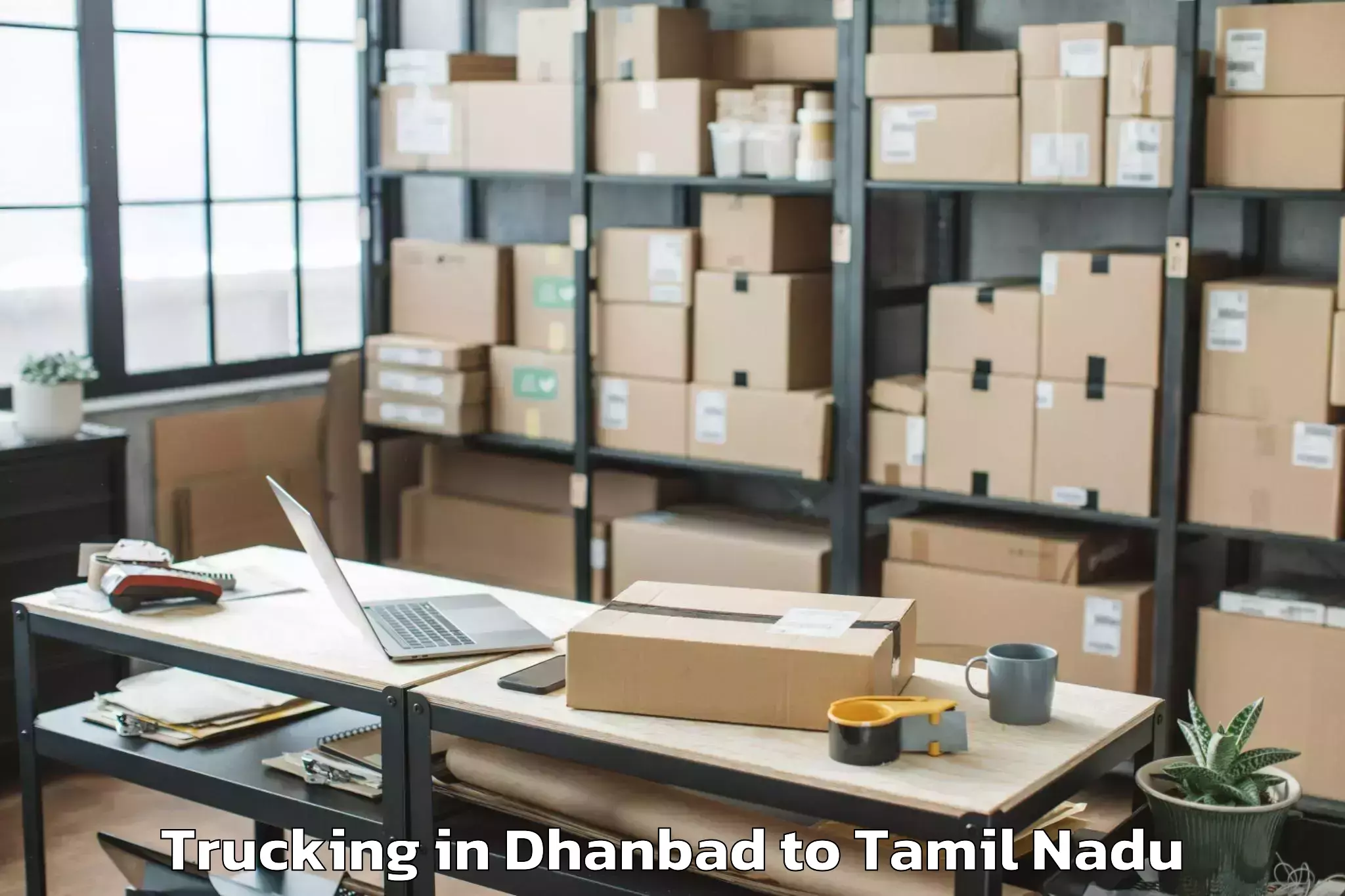 Get Dhanbad to Thirumayam Trucking